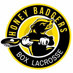 Honey Badgers Box Helmet Decals